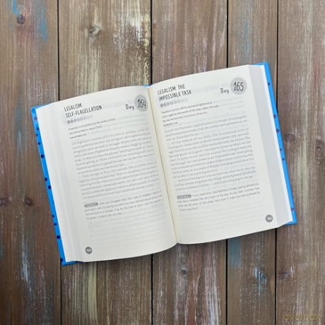 Embracing Imperfect: 365 Devotions for Living Authentically - Lindsay Franklin [KSIĄŻKA]