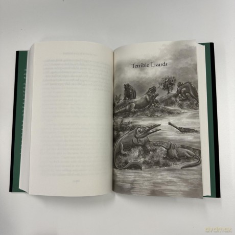 Enchanted Creatures: Our Monsters and Their Meanings - Natalie Lawrence [KSIĄŻKA]
