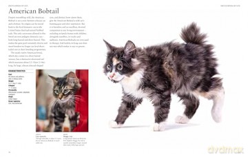 Encyclopedia of Cats (Encyclopedias) - Julianna Photopoulos [KSIĄŻKA]