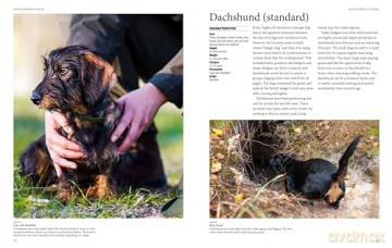 Encyclopedia of Dogs (Encyclopedias) - Tom Jackson [KSIĄŻKA]