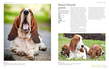 Encyclopedia of Dogs (Encyclopedias) - Tom Jackson [KSIĄŻKA]