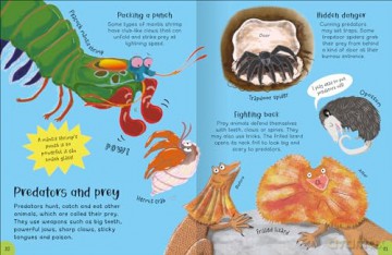 Encyclopedia of Incredible Things [KSIĄŻKA]