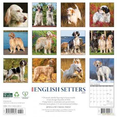 English Setters 2025 Wall [KSIĄŻKA]