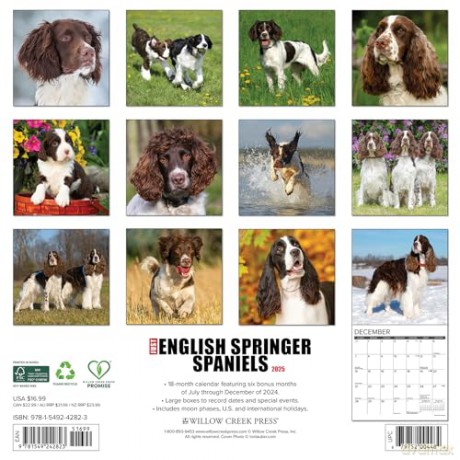 English Springer Spaniels 2025 Wall [KSIĄŻKA]
