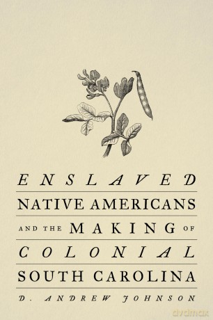 Enslaved Native Americans and the Making of Colonial South Carolina - D Andrew Johnson [KSIĄŻKA]
