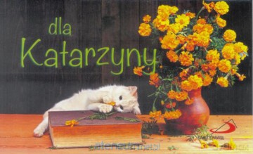 Imiona - Dla Katarzyny [KSIĄŻKA]