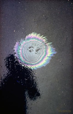 Ernst Haas: Abstract - Alex Haas [KSIĄŻKA]