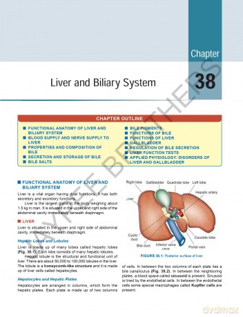 Essentials of Medical Physiology: With Free Review of Medical Physiology - K Sembulingam [KSIĄŻKA]