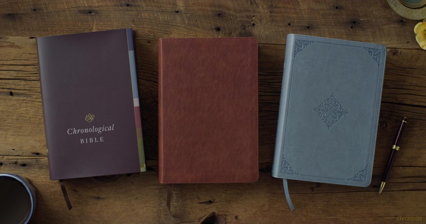 ESV Chronological Bible (TruTone, Paris Sky, Fleur-de-lis Design): English Standard Version, Trutone, Paris Sky, Fleur-de-lis Design, Chronological Bible With Ribbon Marker [KSIĄŻKA]