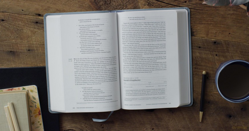 ESV Chronological Bible (TruTone, Paris Sky, Fleur-de-lis Design): English Standard Version, Trutone, Paris Sky, Fleur-de-lis Design, Chronological Bible With Ribbon Marker [KSIĄŻKA]
