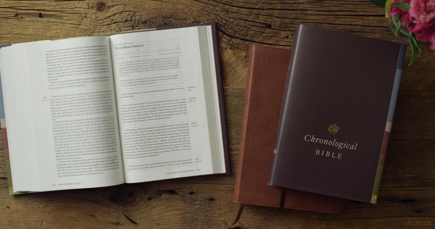 ESV Chronological Bible (TruTone, Paris Sky, Fleur-de-lis Design): English Standard Version, Trutone, Paris Sky, Fleur-de-lis Design, Chronological Bible With Ribbon Marker [KSIĄŻKA]