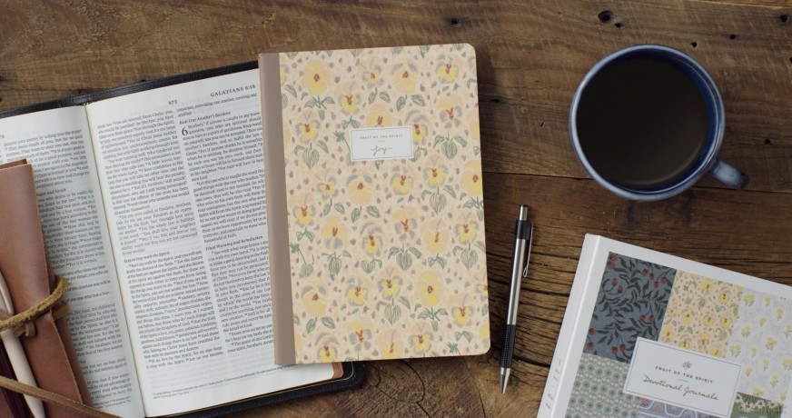 ESV Devotional Journal, Fruit of the Spirit: Joy () [KSIĄŻKA]