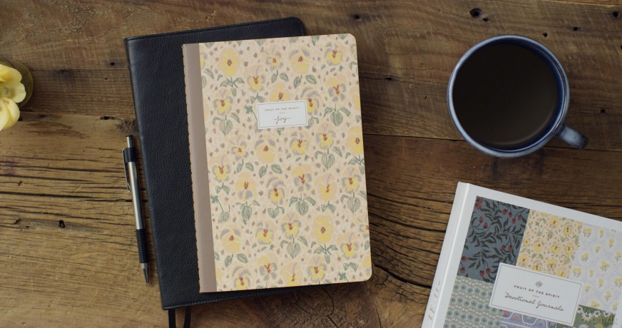 ESV Devotional Journal, Fruit of the Spirit: Joy () [KSIĄŻKA]