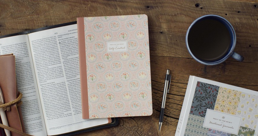 ESV Devotional Journal, Fruit of the Spirit: Self-Control () [KSIĄŻKA]