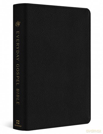 ESV Everyday Gospel Bible: Connecting Scripture to All of Life (Genuine Leather, Black) [KSIĄŻKA]