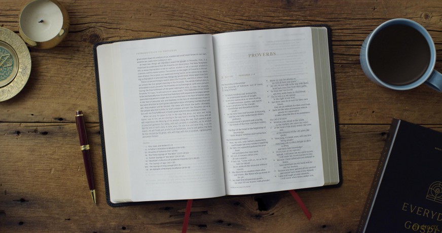 ESV Everyday Gospel Bible: Connecting Scripture to All of Life (Genuine Leather, Black) [KSIĄŻKA]
