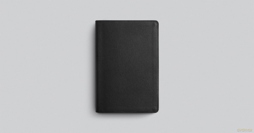 ESV Everyday Gospel Bible: Connecting Scripture to All of Life (Genuine Leather, Black) [KSIĄŻKA]