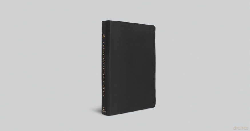 ESV Everyday Gospel Bible: Connecting Scripture to All of Life (Genuine Leather, Black) [KSIĄŻKA]