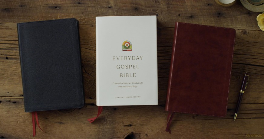 ESV Everyday Gospel Bible: Connecting Scripture to All of Life (Hardcover) [KSIĄŻKA]