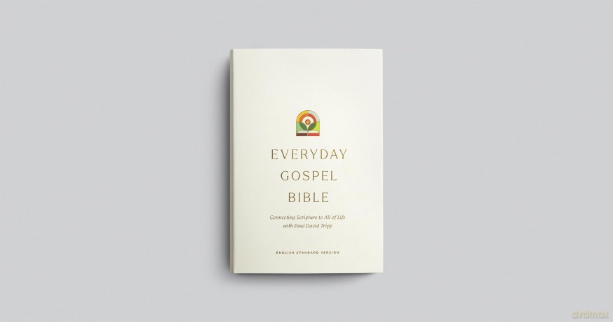 ESV Everyday Gospel Bible: Connecting Scripture to All of Life (Hardcover) [KSIĄŻKA]