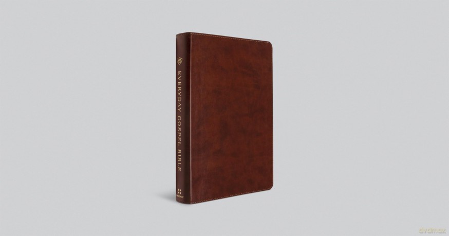 ESV Everyday Gospel Bible: Connecting Scripture to All of Life (TruTone, Chestnut) [KSIĄŻKA]