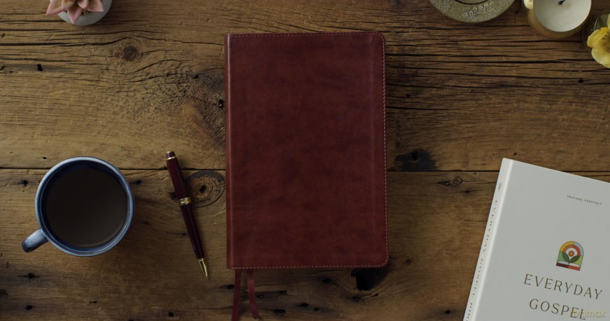 ESV Everyday Gospel Bible: Connecting Scripture to All of Life (TruTone, Chestnut) [KSIĄŻKA]
