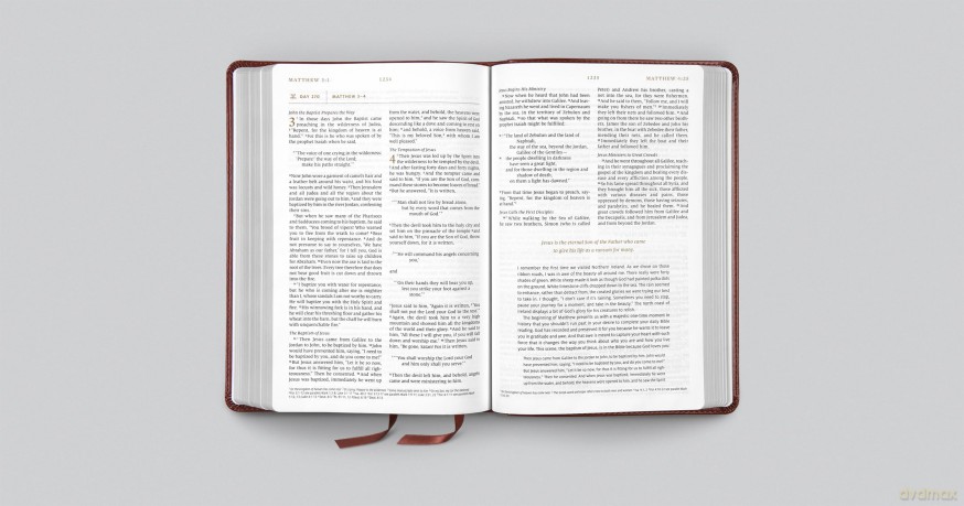 ESV Everyday Gospel Bible: Connecting Scripture to All of Life (TruTone, Chestnut) [KSIĄŻKA]