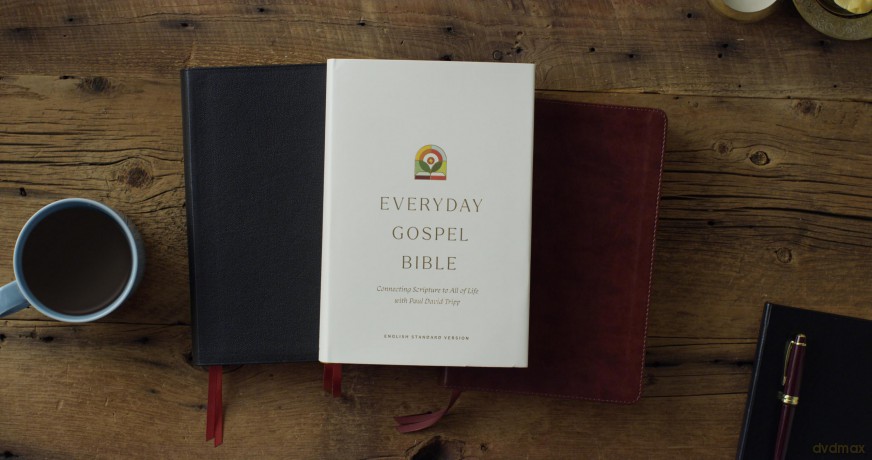 ESV Everyday Gospel Bible: Connecting Scripture to All of Life (TruTone, Chestnut) [KSIĄŻKA]