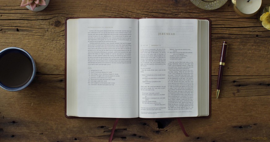 ESV Everyday Gospel Bible: Connecting Scripture to All of Life (TruTone, Chestnut) [KSIĄŻKA]