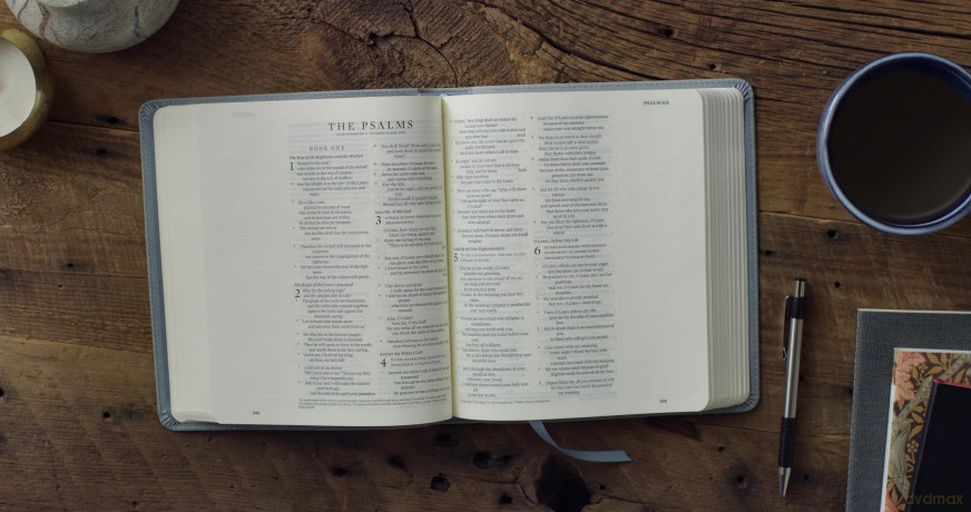 ESV Journaling Bible (TruTone, Paris Sky, Emblem Design) [KSIĄŻKA]