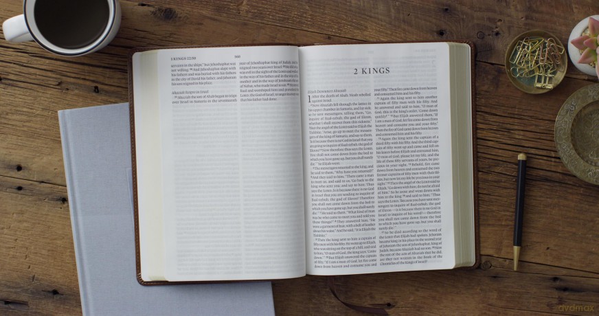 ESV Large Print Bible, TruTone, Deep Brown: English Standard Version, Large Print, Trutone, Deep Brown [KSIĄŻKA]
