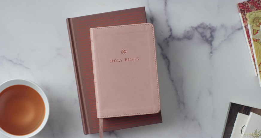 ESV Large Print Compact Bible (TruTone, Blush Rose) [KSIĄŻKA]