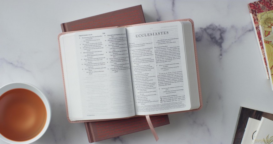 ESV Large Print Compact Bible (TruTone, Blush Rose) [KSIĄŻKA]
