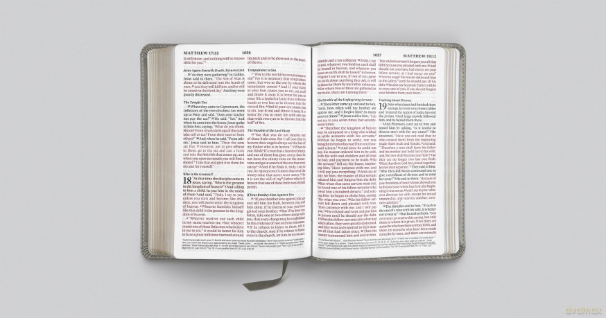 ESV Large Print Compact Bible (TruTone, Stone, Branch Design): English Standard Version, Stone, Trutone, Branch Design [KSIĄŻKA]
