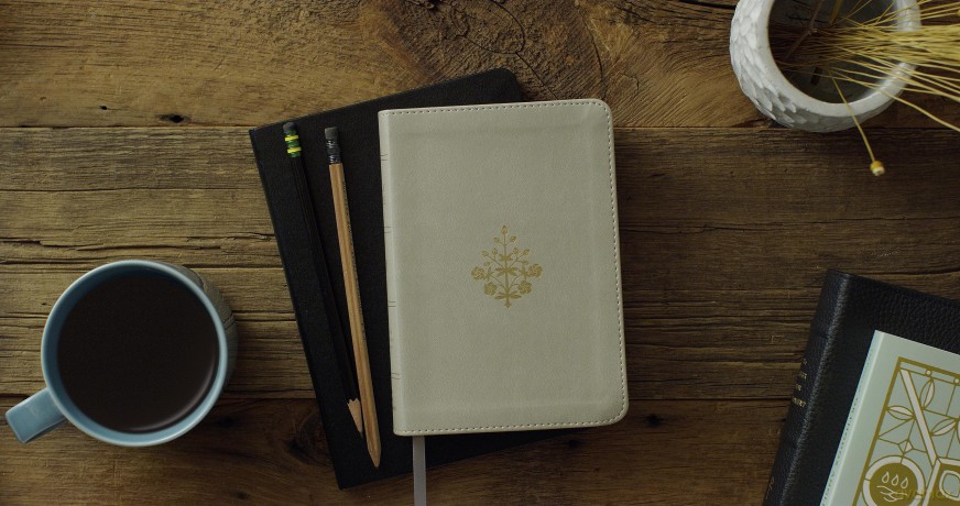 ESV Large Print Compact Bible (TruTone, Stone, Branch Design): English Standard Version, Stone, Trutone, Branch Design [KSIĄŻKA]