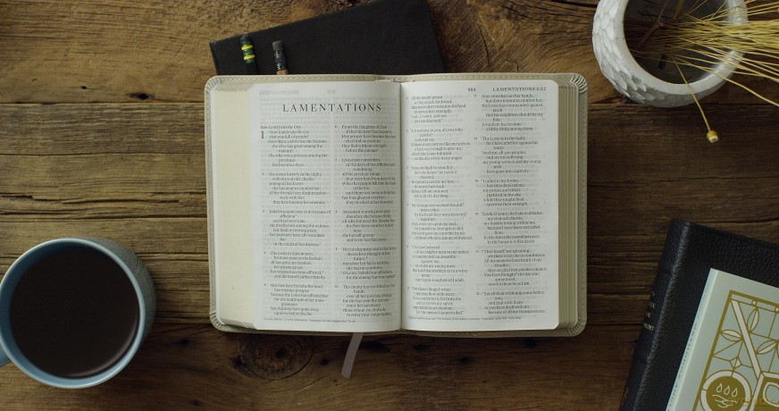 ESV Large Print Compact Bible (TruTone, Stone, Branch Design): English Standard Version, Stone, Trutone, Branch Design [KSIĄŻKA]