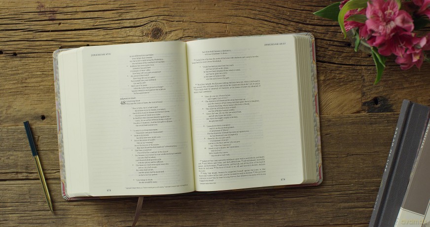 ESV Single Column Journaling Bible, Jessica Bush: English Standard Version, Jessica Bush, Trellis, Cloth over Board, Single Column Journaling Bible (Artist) [KSIĄŻKA]
