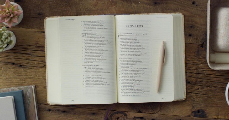 ESV Single Column Journaling Bible, Large Print, Artist Series (Cloth over Board, Jessica Dennis Bush, Cosmos): English Standard Version Single Column Journaling Bible, Large Print With Ribbon Marker [KSIĄŻKA]