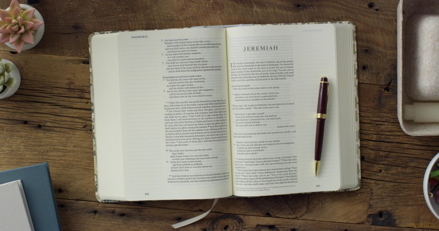 ESV Single Column Journaling Bible, Large Print, Artist Series (Cloth over Board, Lulie Wallace, Martha): English Standard Version, Large Print, Single Column Journaling Bible [KSIĄŻKA]