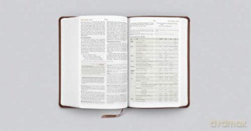 ESV Student Study Bible (TruTone, Chestnut): English Standard Version, Chestnut, Trutone [KSIĄŻKA]