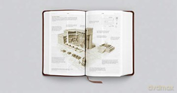 ESV Student Study Bible (TruTone, Chestnut): English Standard Version, Chestnut, Trutone [KSIĄŻKA]