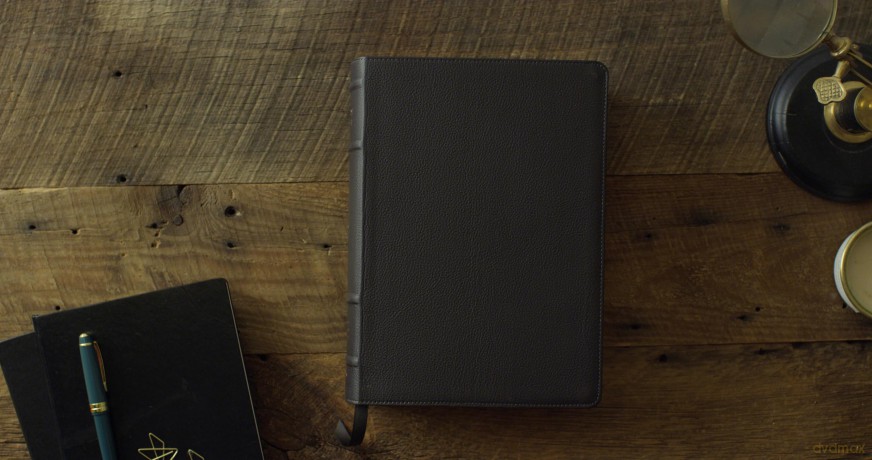 ESV Study Bible, Large Print (Buffalo Leather, Deep Brown): English Standard Version, Deep Brown, Buffalo Leather, Study Bible [KSIĄŻKA]