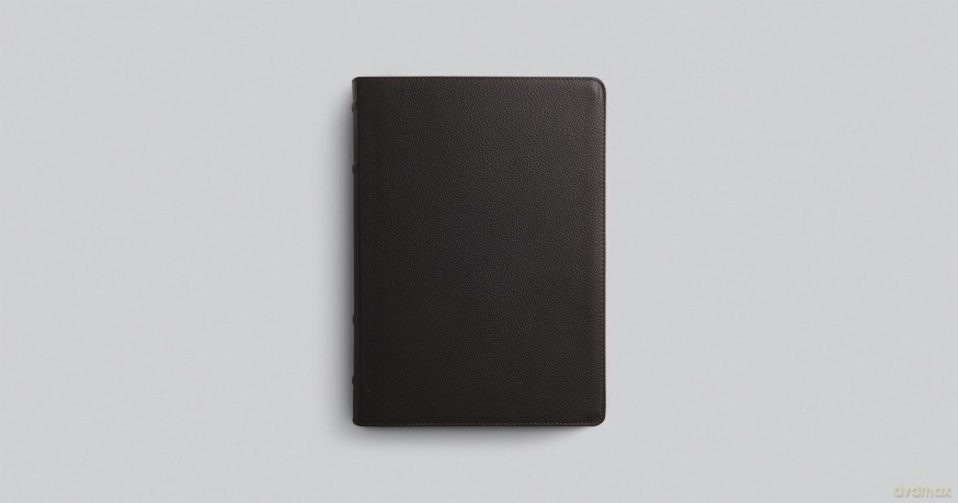 ESV Study Bible, Large Print (Buffalo Leather, Deep Brown): English Standard Version, Deep Brown, Buffalo Leather, Study Bible [KSIĄŻKA]