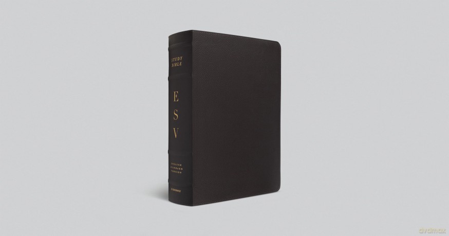 ESV Study Bible, Large Print (Buffalo Leather, Deep Brown): English Standard Version, Deep Brown, Buffalo Leather, Study Bible [KSIĄŻKA]