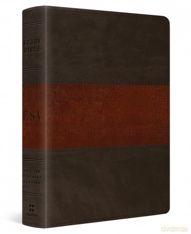 ESV Study Bible, Personal Size, Forest/Tan: Esv Study Bible, Personal Size - Trutone, Forest/tan, Trail Design [KSIĄŻKA]