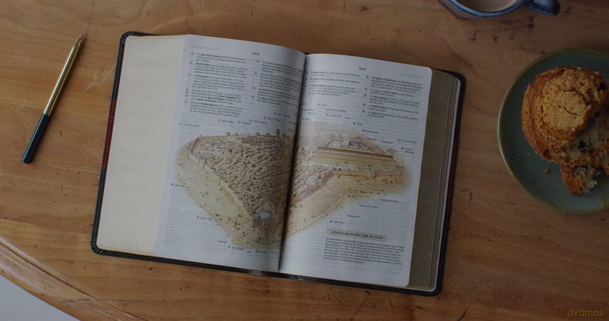 ESV Study Bible, Personal Size, Forest/Tan: Esv Study Bible, Personal Size - Trutone, Forest/tan, Trail Design [KSIĄŻKA]