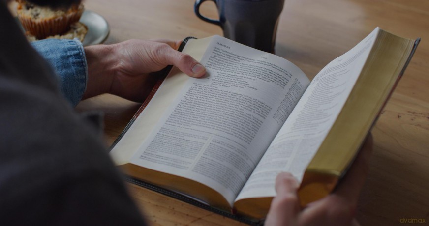 ESV Study Bible, Personal Size, Forest/Tan: Esv Study Bible, Personal Size - Trutone, Forest/tan, Trail Design [KSIĄŻKA]