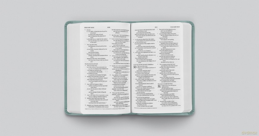 ESV Value Compact Bible (TruTone, Paris Sky, Branch Design): English Standard Version, Paris Sky, Trutone, Branch Design, Value Compact [KSIĄŻKA]