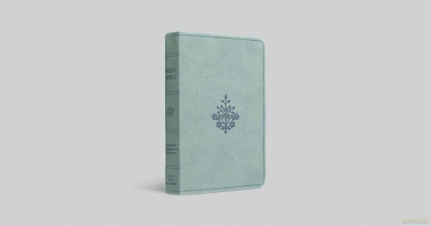 ESV Value Compact Bible (TruTone, Paris Sky, Branch Design): English Standard Version, Paris Sky, Trutone, Branch Design, Value Compact [KSIĄŻKA]