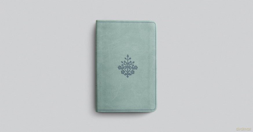 ESV Value Compact Bible (TruTone, Paris Sky, Branch Design): English Standard Version, Paris Sky, Trutone, Branch Design, Value Compact [KSIĄŻKA]